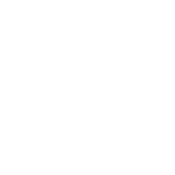 Pixels Per Neuron